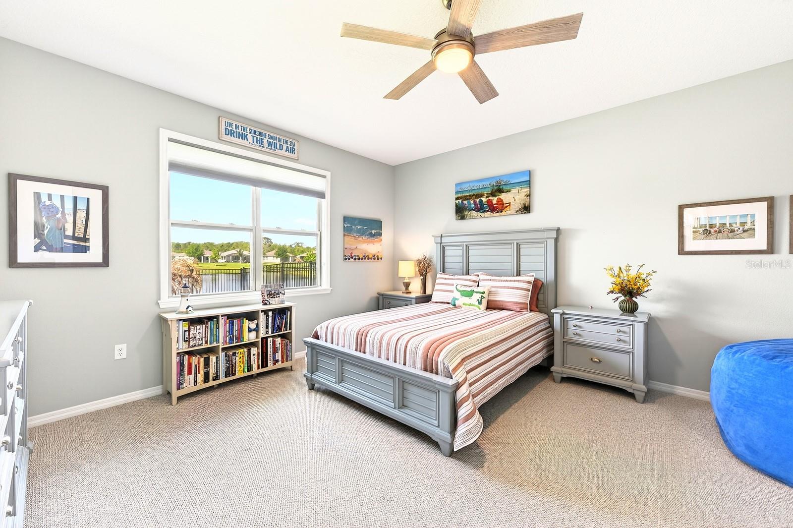 PALMS AT SERENOA - Residential