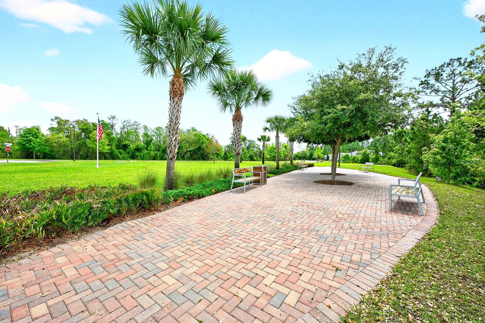 PALMS AT SERENOA - Residential