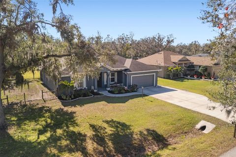 A home in PARRISH