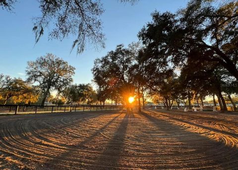 Tiny photo for 13646 N Us Highway 27, Ocala, FL 34482 (MLS # OM702023)