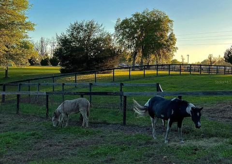 Tiny photo for 13646 N Us Highway 27, Ocala, FL 34482 (MLS # OM702023)