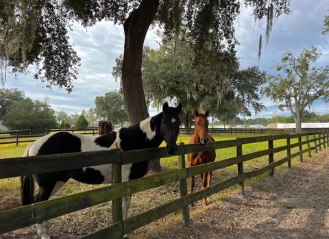 Tiny photo for 13646 N Us Highway 27, Ocala, FL 34482 (MLS # OM702023)