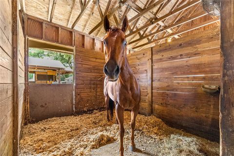 Tiny photo for 13646 N Us Highway 27, Ocala, FL 34482 (MLS # OM702023)