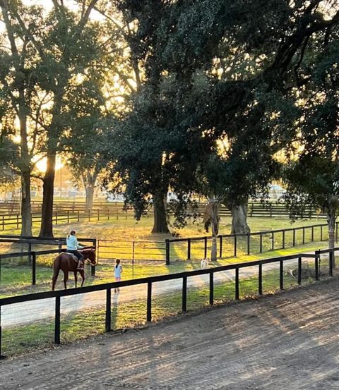 Tiny photo for 13646 N Us Highway 27, Ocala, FL 34482 (MLS # OM702023)