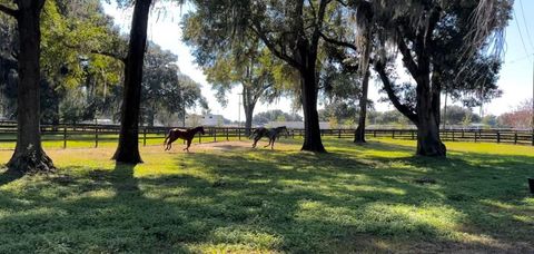 Tiny photo for 13646 N Us Highway 27, Ocala, FL 34482 (MLS # OM702023)