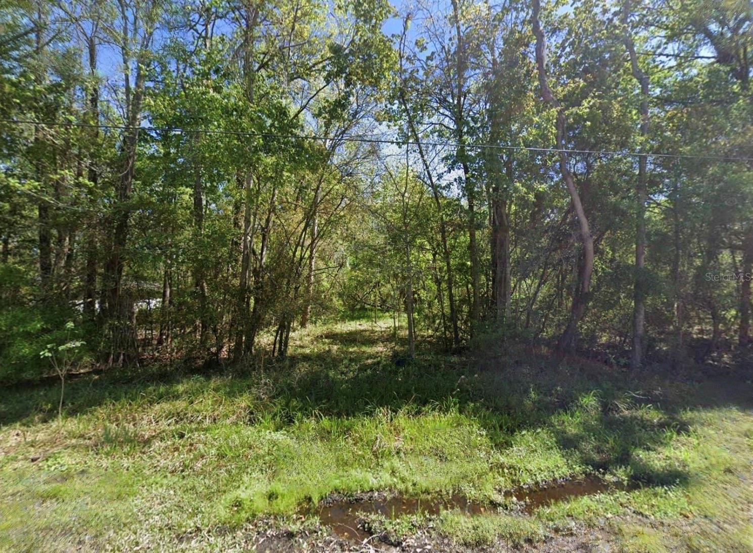 HARDING AVENUE