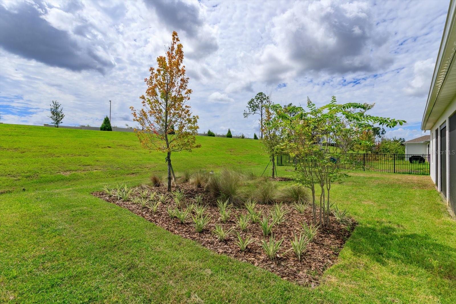 WILLOW RIDGE - Residential