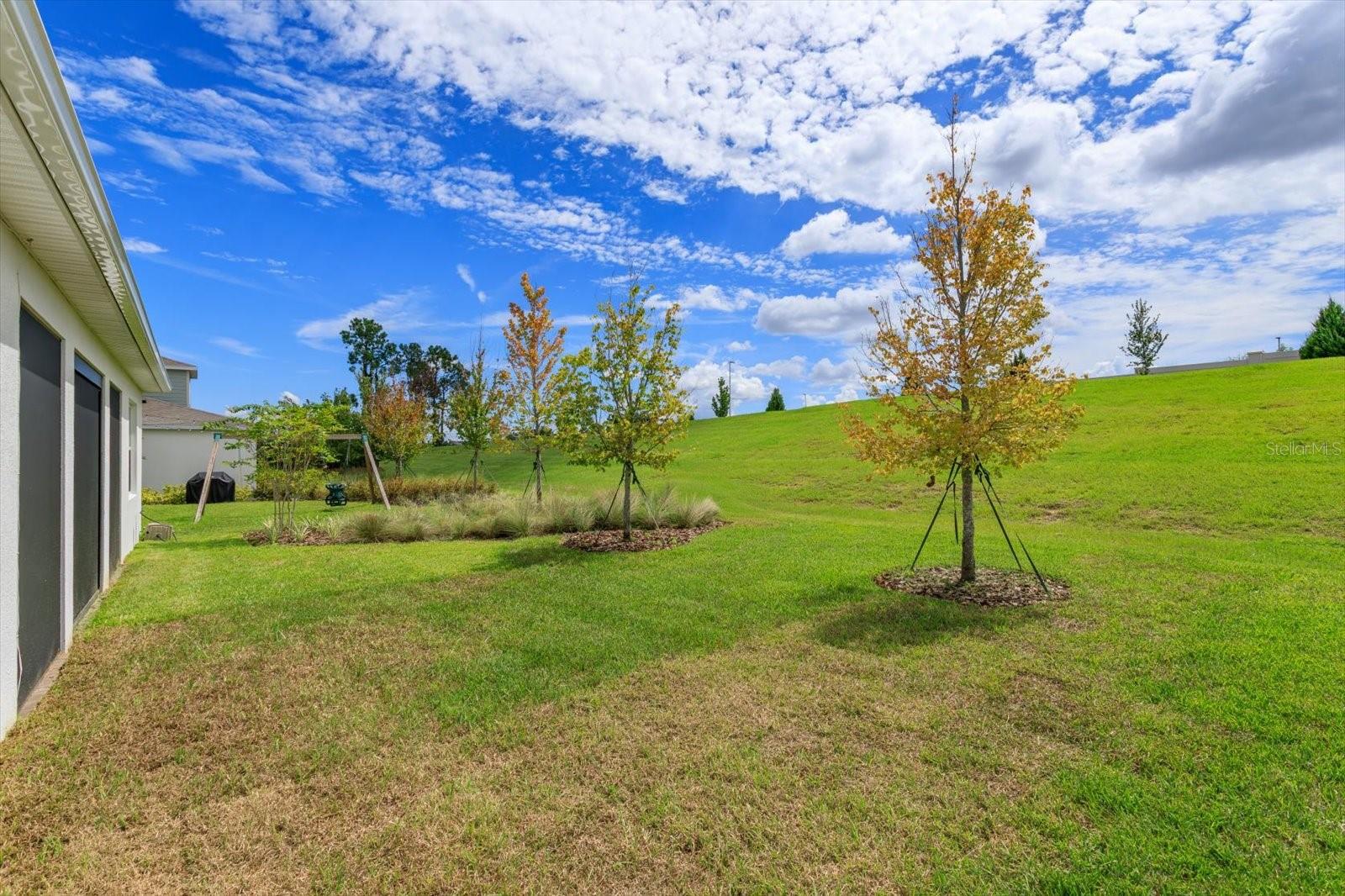 WILLOW RIDGE - Residential