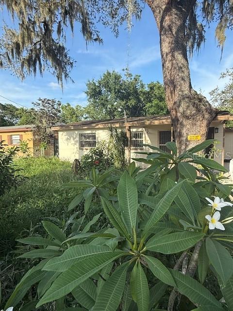 Charming Renovated 3-Bedroom Home Near USF – Ideal Location!
Welcome to your beautifully renovated 3-bedroom, 1-bath home just minutes from the University of South Florida!
Step inside to find brand-new flooring, fresh paint, and a kitchen featuring new stone countertops and cabinetry. The bathroom has also been tastefully remodeled with contemporary finishes. Each bedroom offers plenty of natural light and comfort
Outside, enjoy a private yard space with larger screen in Patio
Location is everything—you’ll be just around the corner from USF, major shopping centers, restaurants, and easy access to I-275 and public transportation.