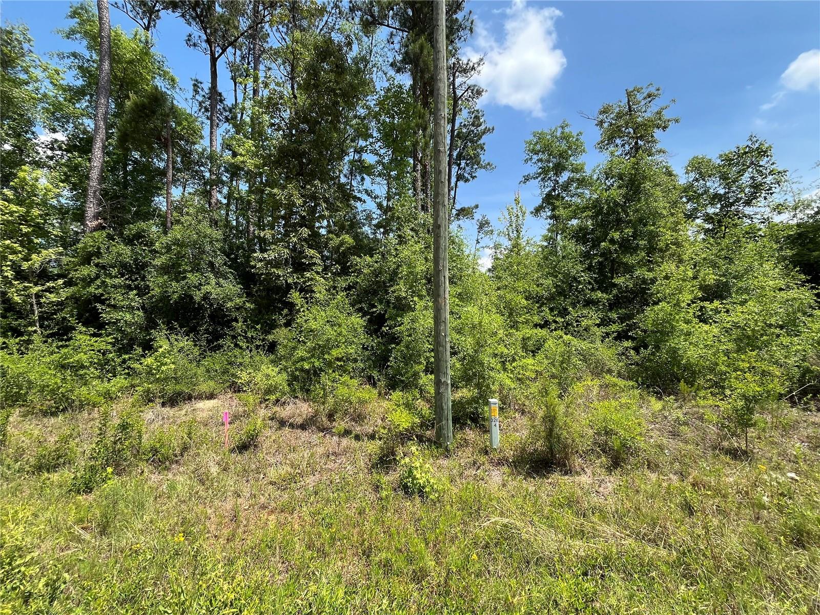 Owner Financing Available! Don’t miss out on this wooded 1.03-acre corner residential lot in Compass Lake in the Hills, just outside of Marianna, FL. This property offers a peaceful setting ideal for building your dream home, with nearby access to beautiful Compass Lake—a popular destination for boating, skiing, fishing, and swimming. Residents enjoy a wide range of amenities including a clubhouse with restaurant, tennis courts, swimming pool, picnic areas, and a business center. Conveniently located near Highway 231, this lot is approximately 45 minutes to Panama City and about an hour to the Gulf Coast’s stunning beaches. Whether you're ready to build or looking for a smart investment, this is a great opportunity in the growing panhandle of Northwest Florida. For directional purposes only, the property is across the street from 3502 Magnolia Ln, Marianna, FL 32448