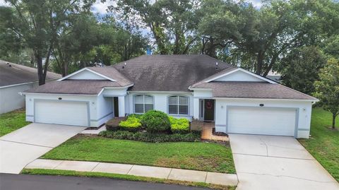 Photo of 8609 Alexandra Arbor Lane, Temple Terrace, FL 33637 (MLS # TB8525407)
