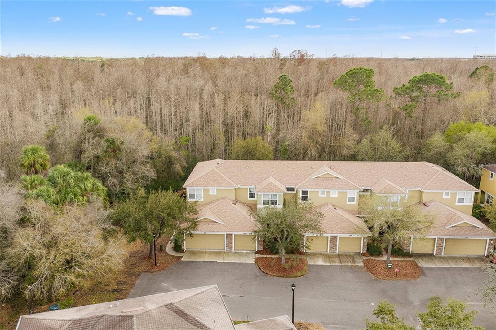 STONE RIDGE AT HIGHWOODS PRESE - Residential