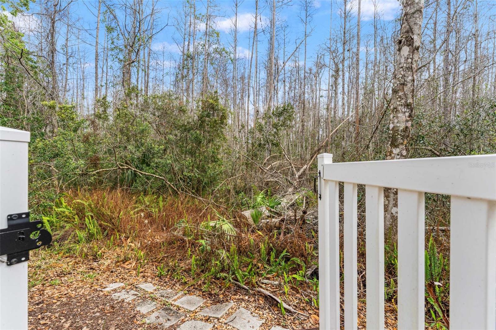 STONE RIDGE AT HIGHWOODS PRESE - Residential