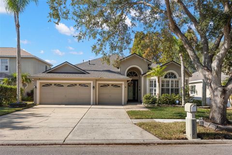 18952 MAISONS DRIVE LUTZ FL 33558