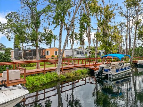 Photo of 3233 Myakka River Road, Tavares, FL 32778 (MLS # G5103166)