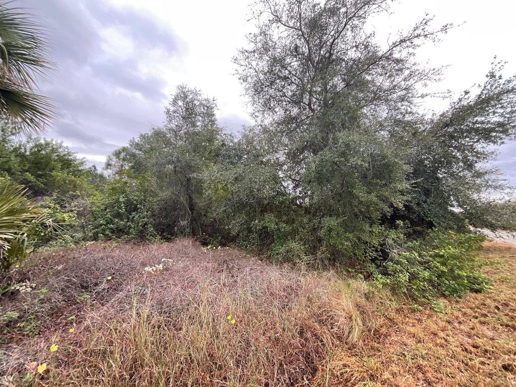 Photo of 1608 Scott Avenue, Lehigh Acres, FL 33972 (MLS # FC315214)