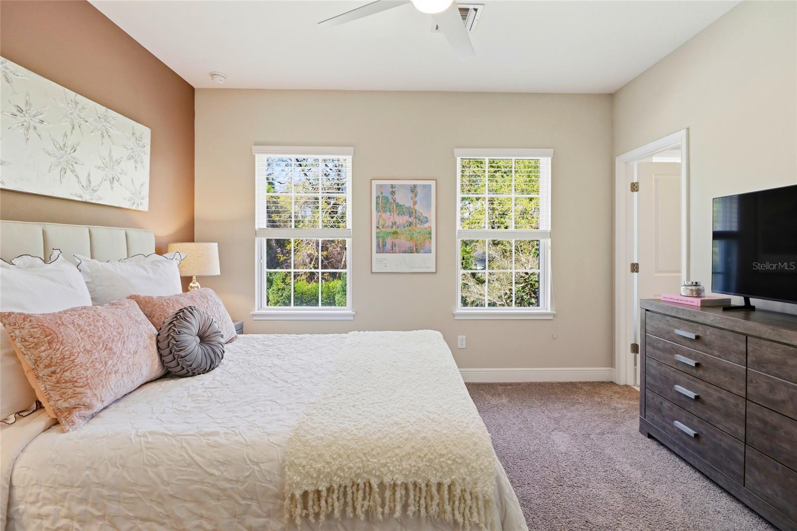 PALMER PARK - Residential