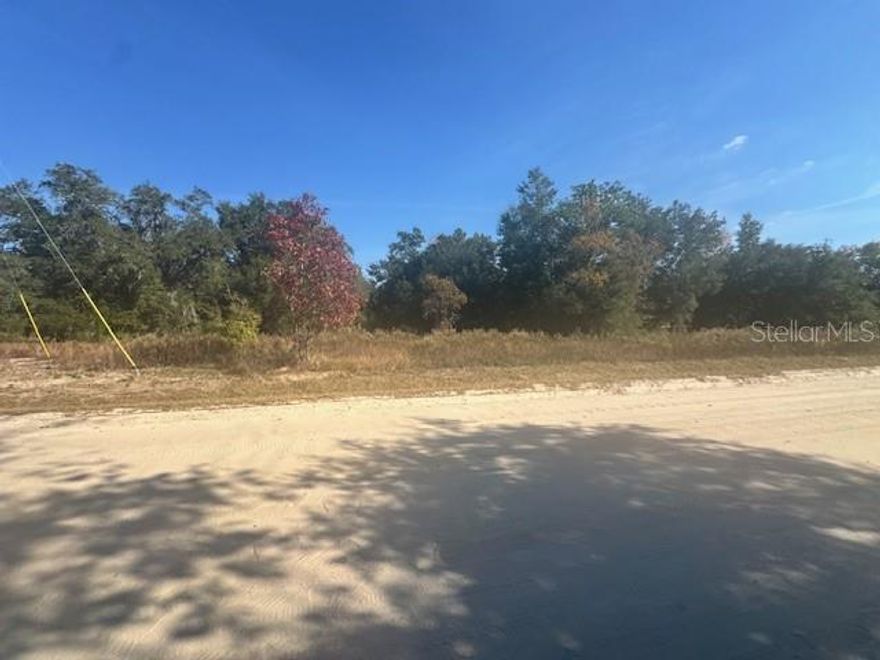 0.23-acre cleared and buildable lot in the up-and-coming Rainbow Park subdivision. Super convenient location: just down the road from the World Equestrian Center and an easy drive to the crystal-clear Rainbow River and Rainbow Springs State Park for swimming and tubing. Perfect spot to bring your builder and create exactly the home you’ve always wanted!