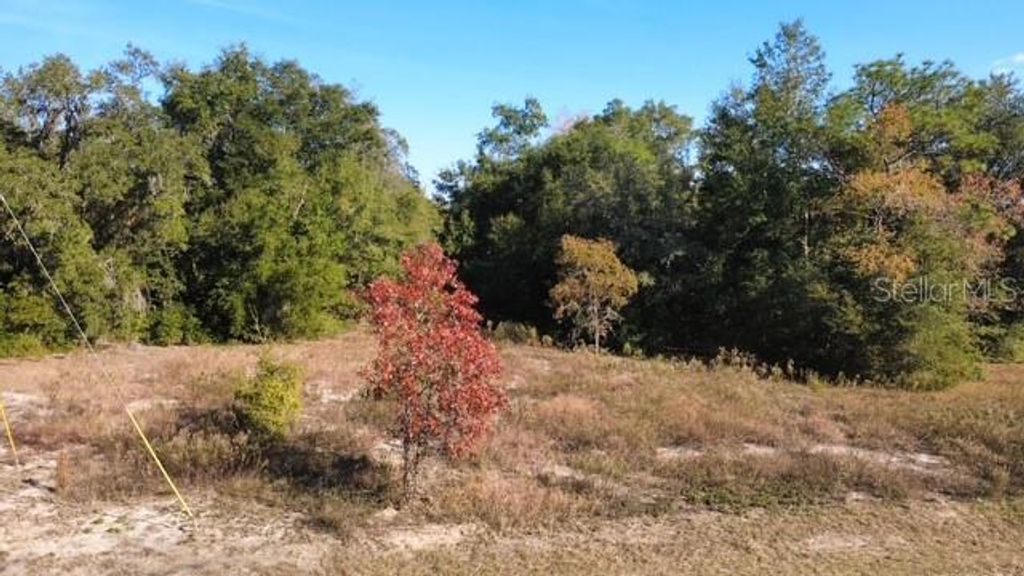 Photo of Tbd SW 146 Court, Ocala, FL 34481 (MLS # G5104751)