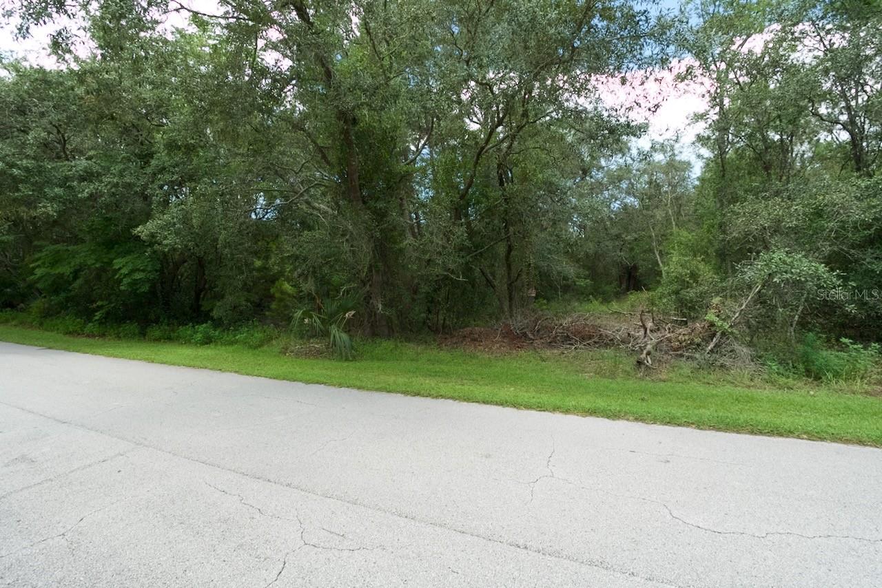 WEEKI WACHEE ACRES ADD - Land