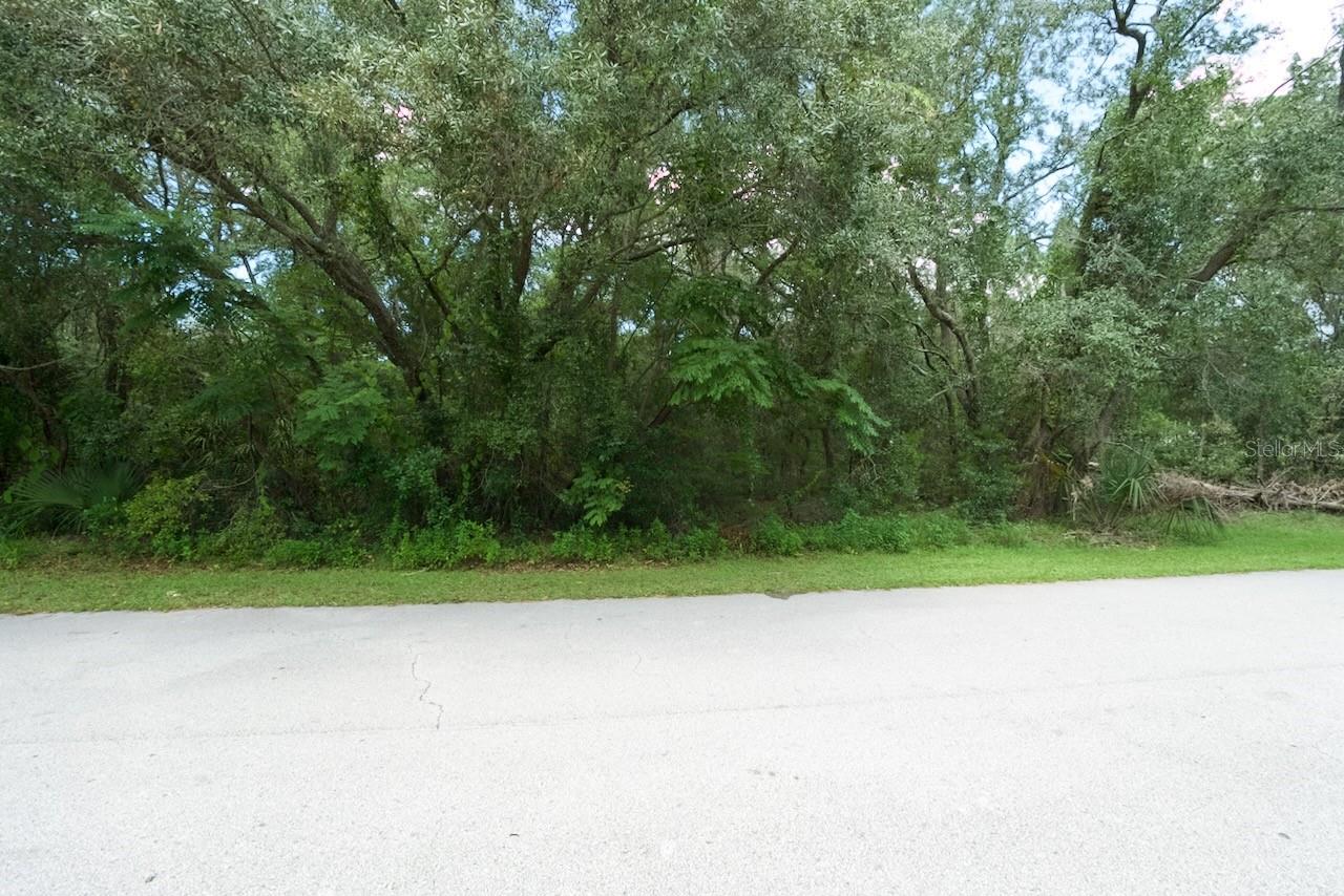 WEEKI WACHEE ACRES ADD - Land