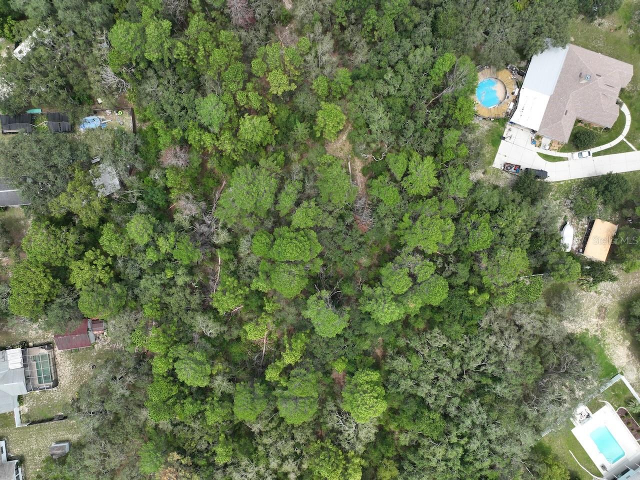 WEEKI WACHEE ACRES ADD - Land