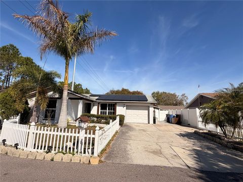 Photo of 10213 Explorer Court, Tampa, FL 33615 (MLS # TB8479044)