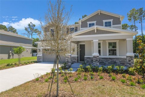 Photo of 3716 Deer Ridge Drive, Mount Dora, FL 32757 (MLS # S5115712)