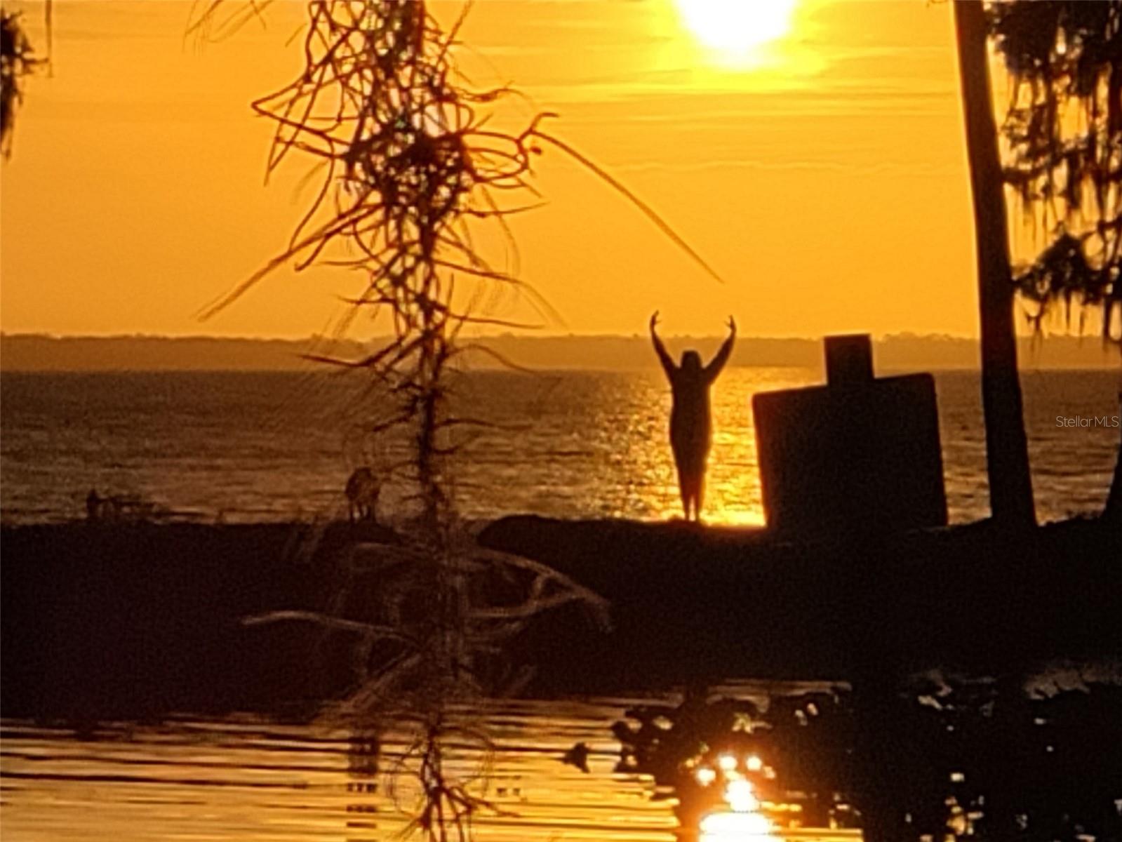 CHAR-LAR ESTATES - Residential