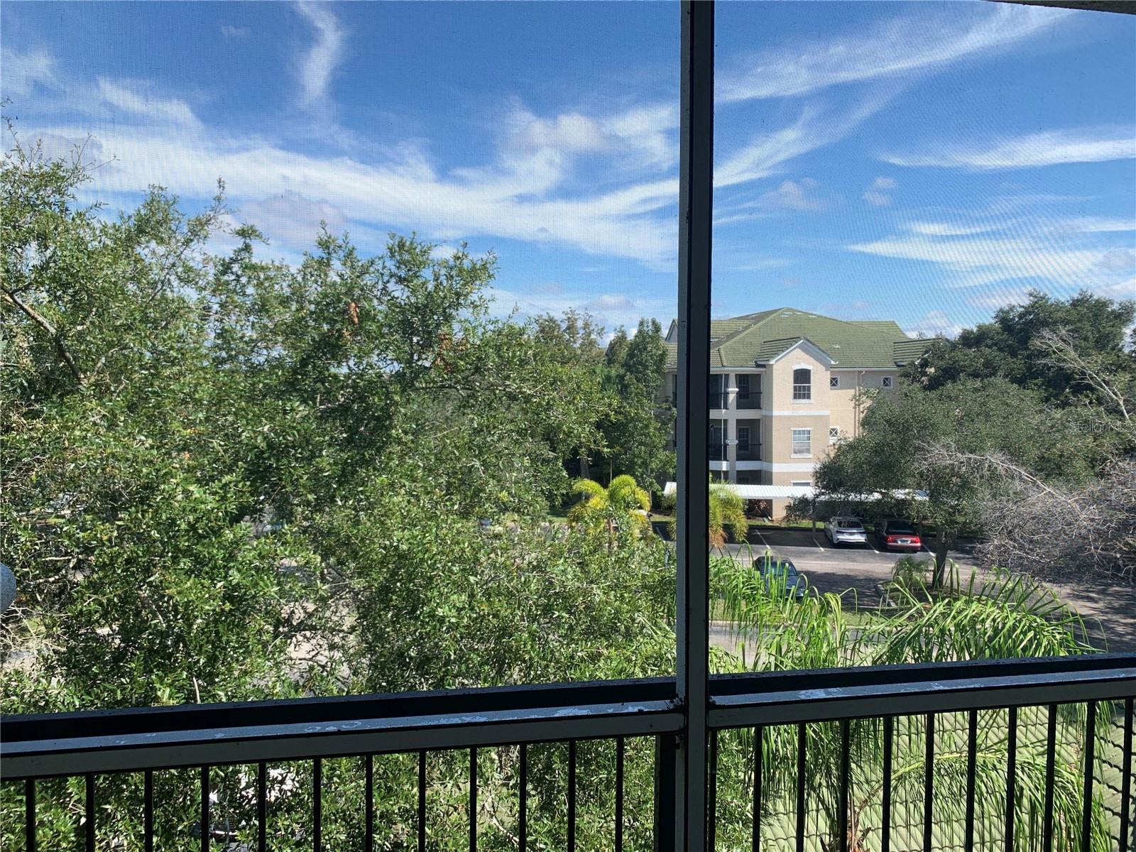 SERENADE ON PALMER RANCH - Residential