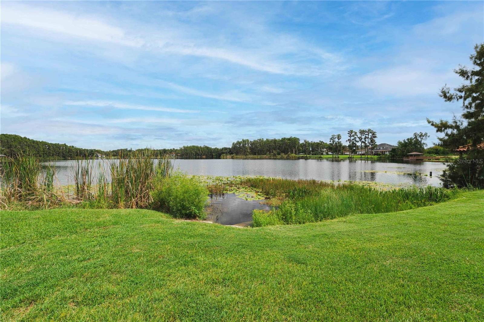 STEEPLECHASE - Residential