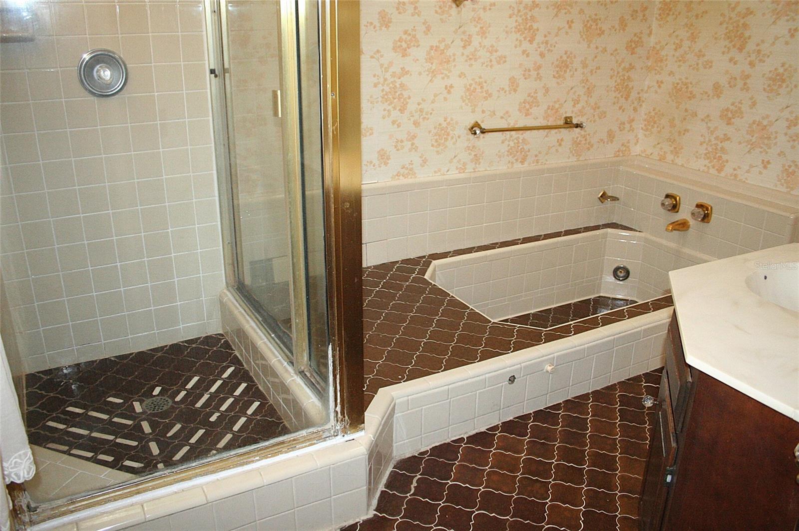 SPRINGS WILLOW RUN SEC THE - Residential