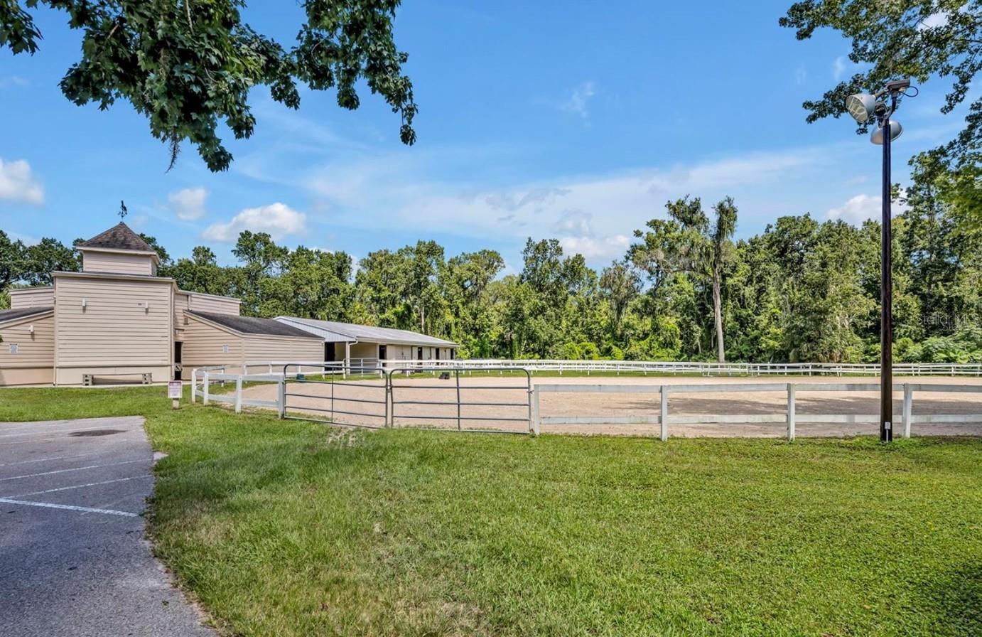 SPRINGS WILLOW RUN SEC THE - Residential