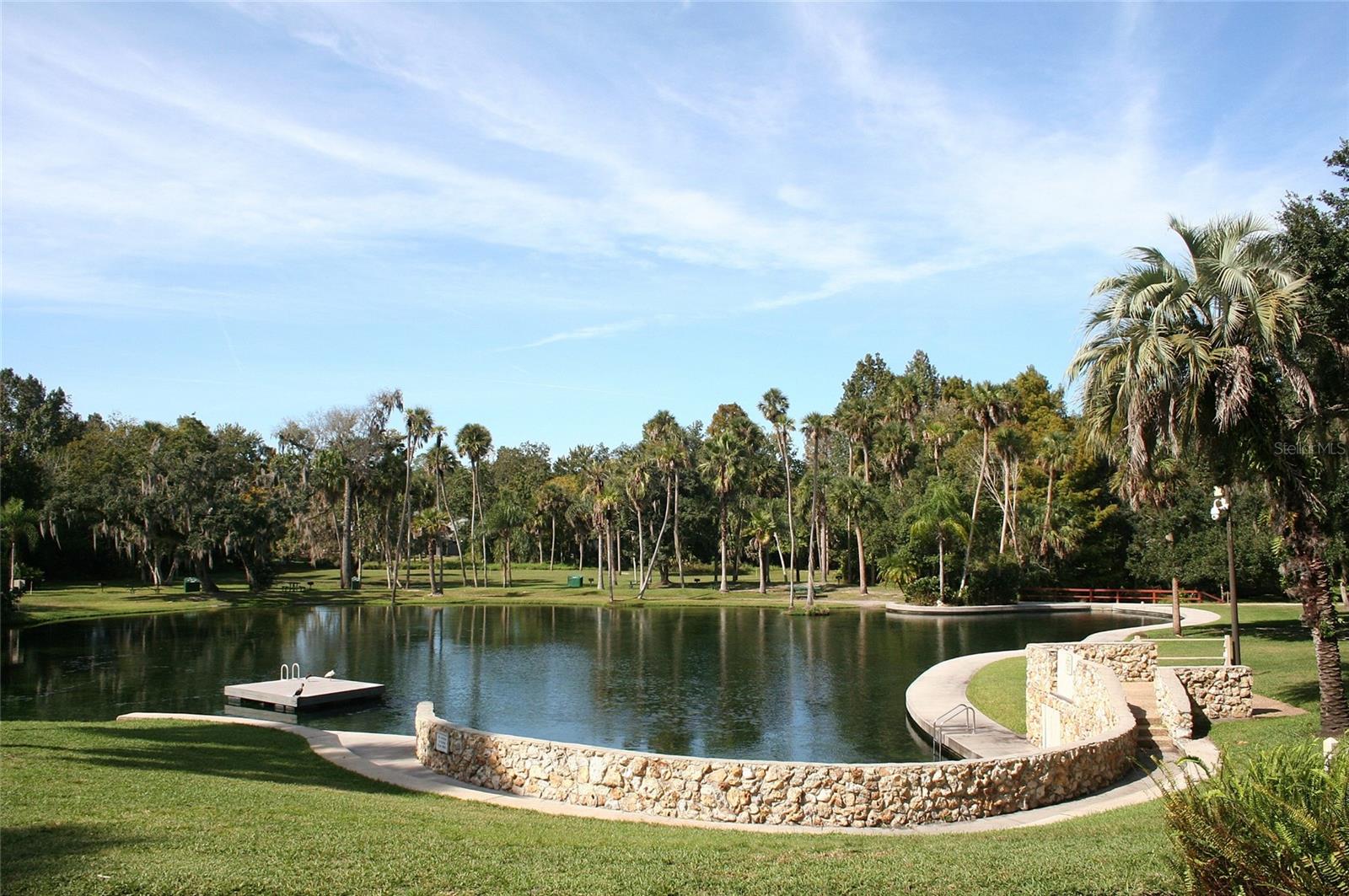 SPRINGS WILLOW RUN SEC THE - Residential