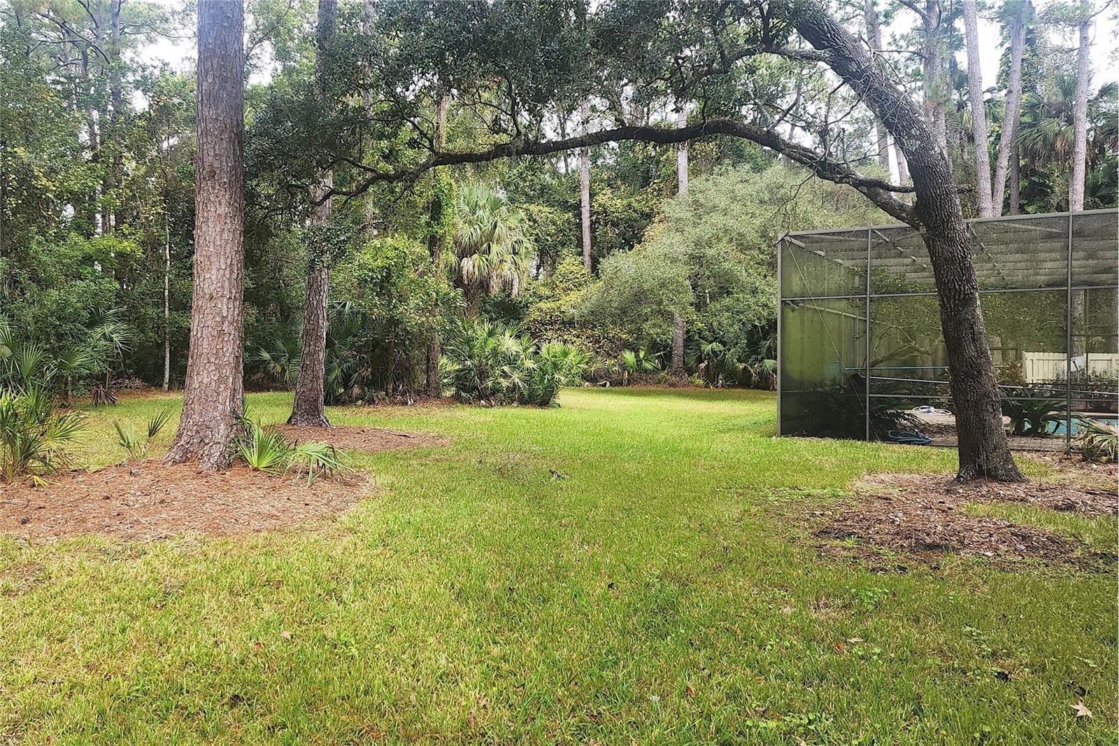 SPRINGS WILLOW RUN SEC THE - Residential