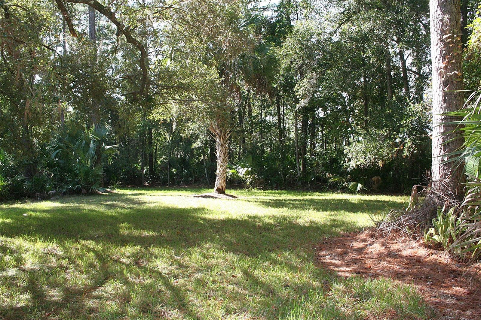 SPRINGS WILLOW RUN SEC THE - Residential