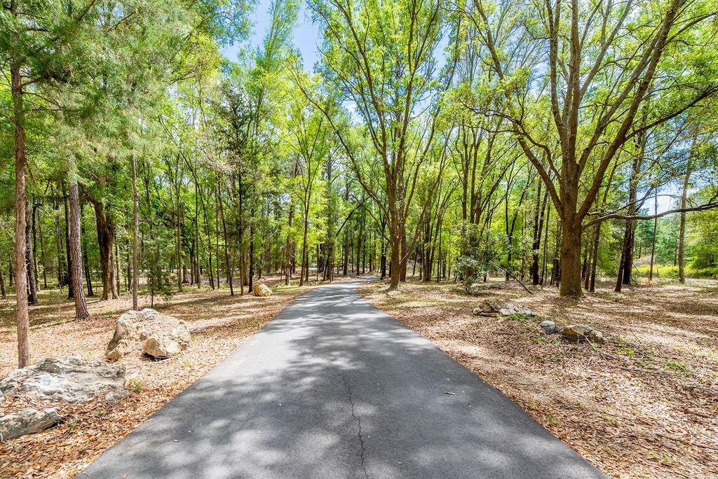 Photo of 456 SW Bradenton Way, Fort White, FL 32038 (MLS # GC539229)