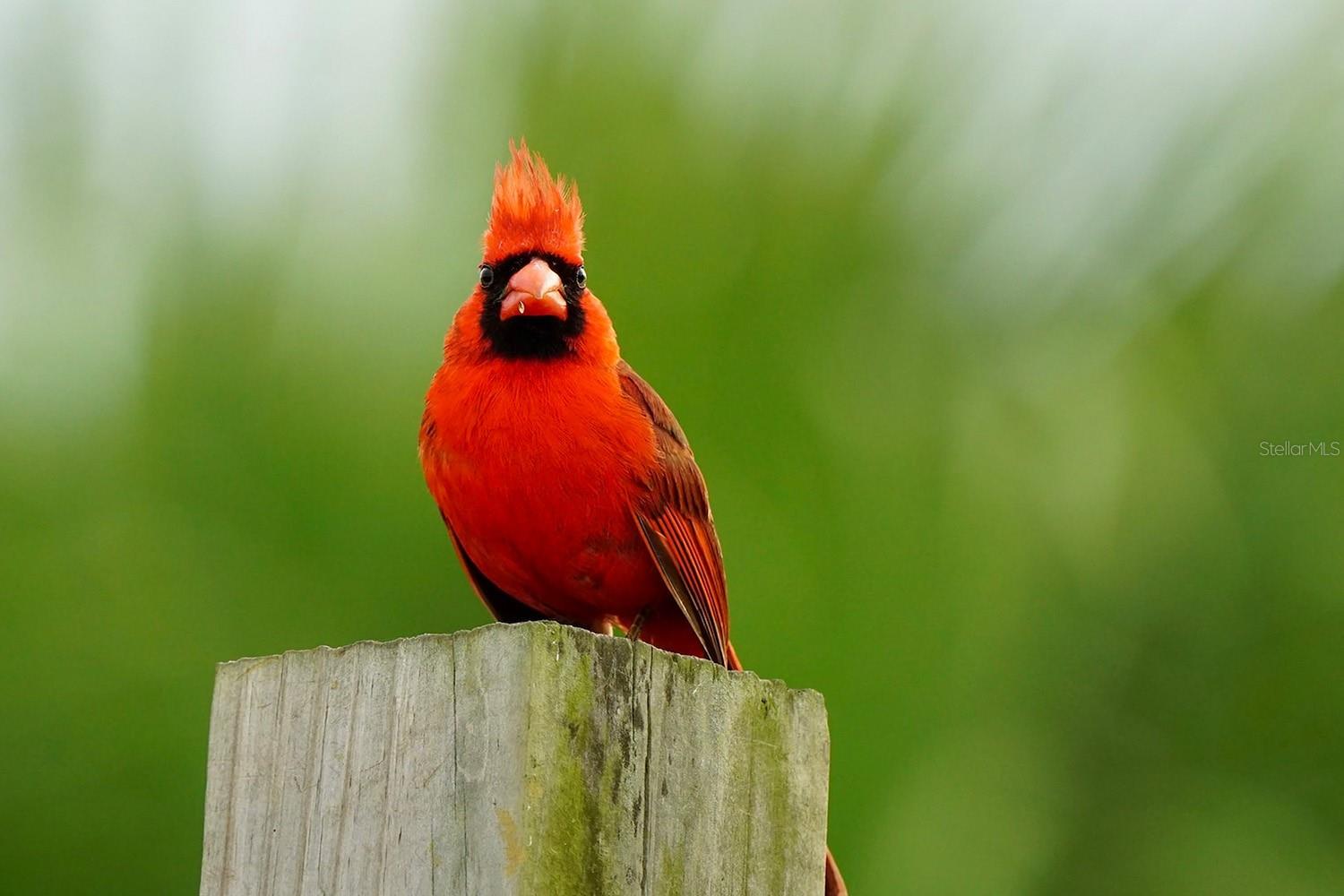 FLAGLER ESTATES UR SUB - Land