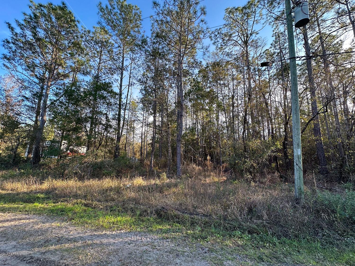 FLAGLER ESTATES UR SUB - Land