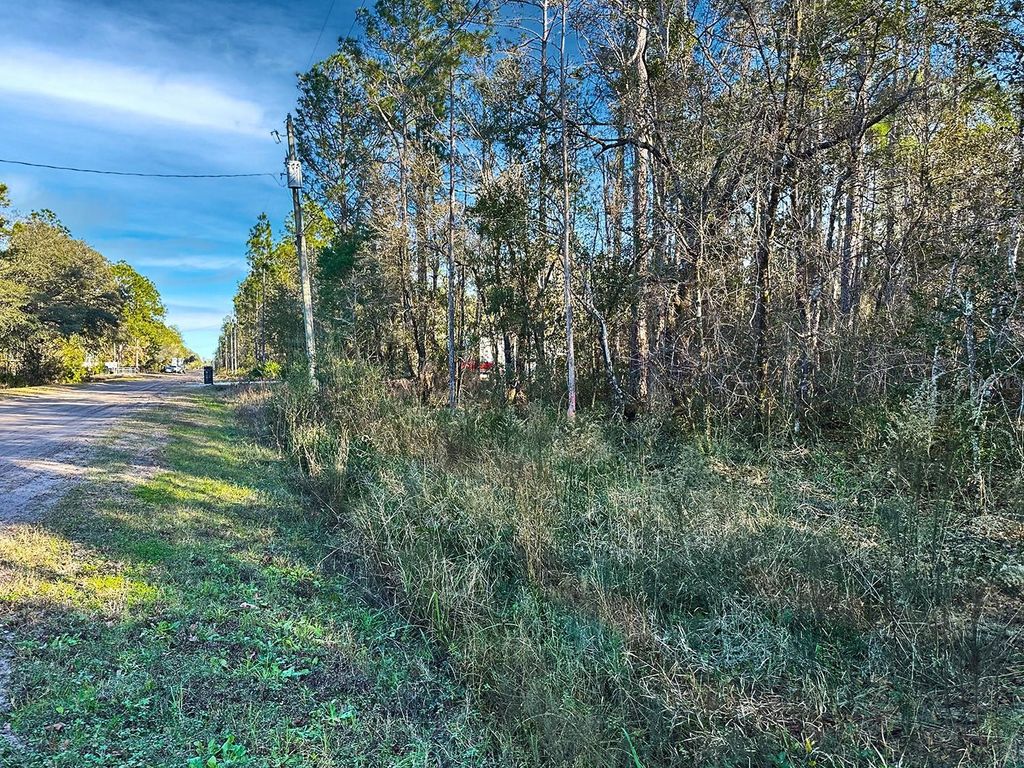 Photo of 428 Division Street, Hastings, FL 32145 (MLS # O6376825)