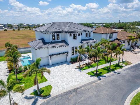 A home in APOLLO BEACH