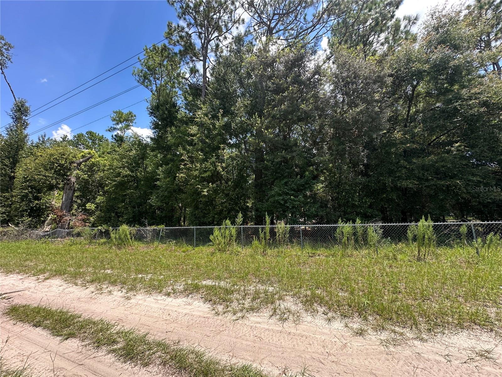 S US HWY 441
