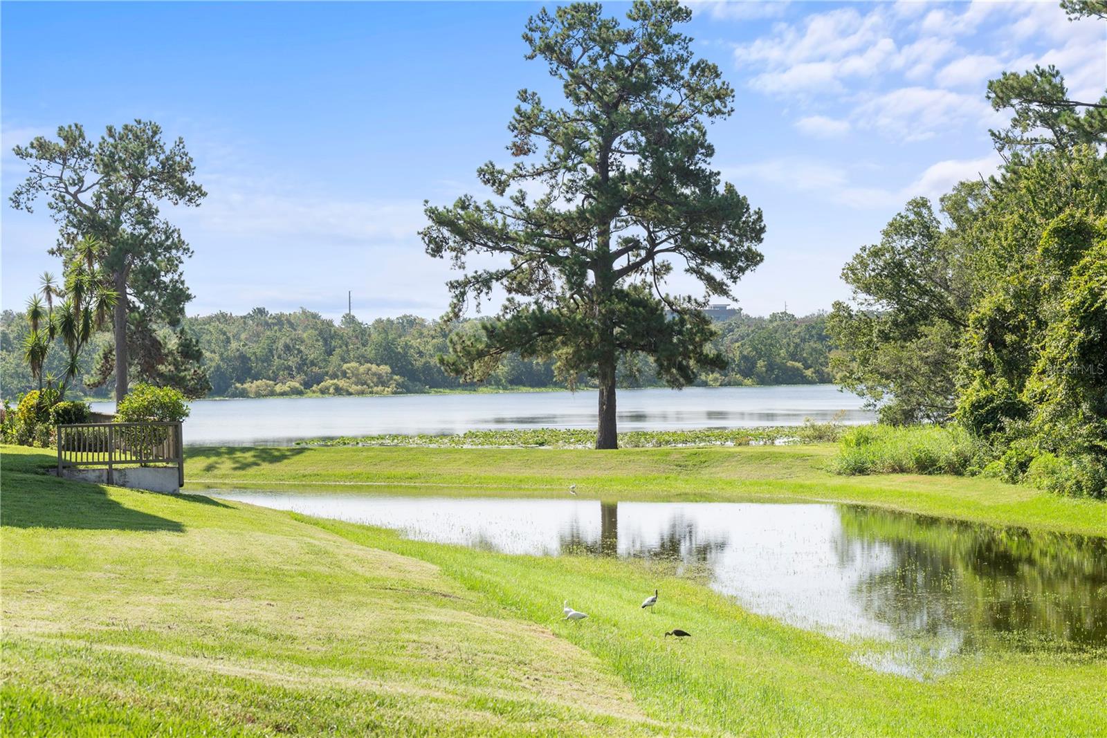 LAKE LOTUS CLUB 5 A CONDO REP - Residential