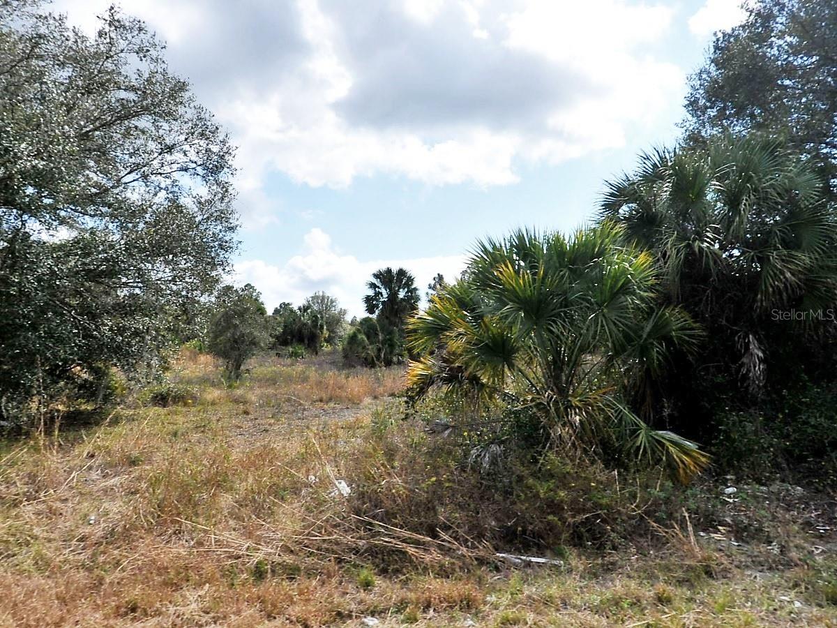 Excellent investment in one of the FASTEST GROWING areas of FL!! Have a peaceful life in Florida once you own this stunning OVERSIZED CUL-DE-SAC lot in Sarasota County. This property is nestled in a prime location in Port Charlotte offering easy access to restaurants, stores, and other major establishments in the area. Just 10 minutes from the property are Walmart, Walgreens, The Home Depot and more. North Port is in Sarasota County and lies along the Tamiami Trail, which comprises US Routes that run from Tampa to Miami. The city is near enough to many of the state’s most popular natural and cultural areas to make day-trips a convenient option, and there isn’t any shortage of breathtaking beaches in the area for those who prefer to relax by the ocean and soak up that famous Florida sun.