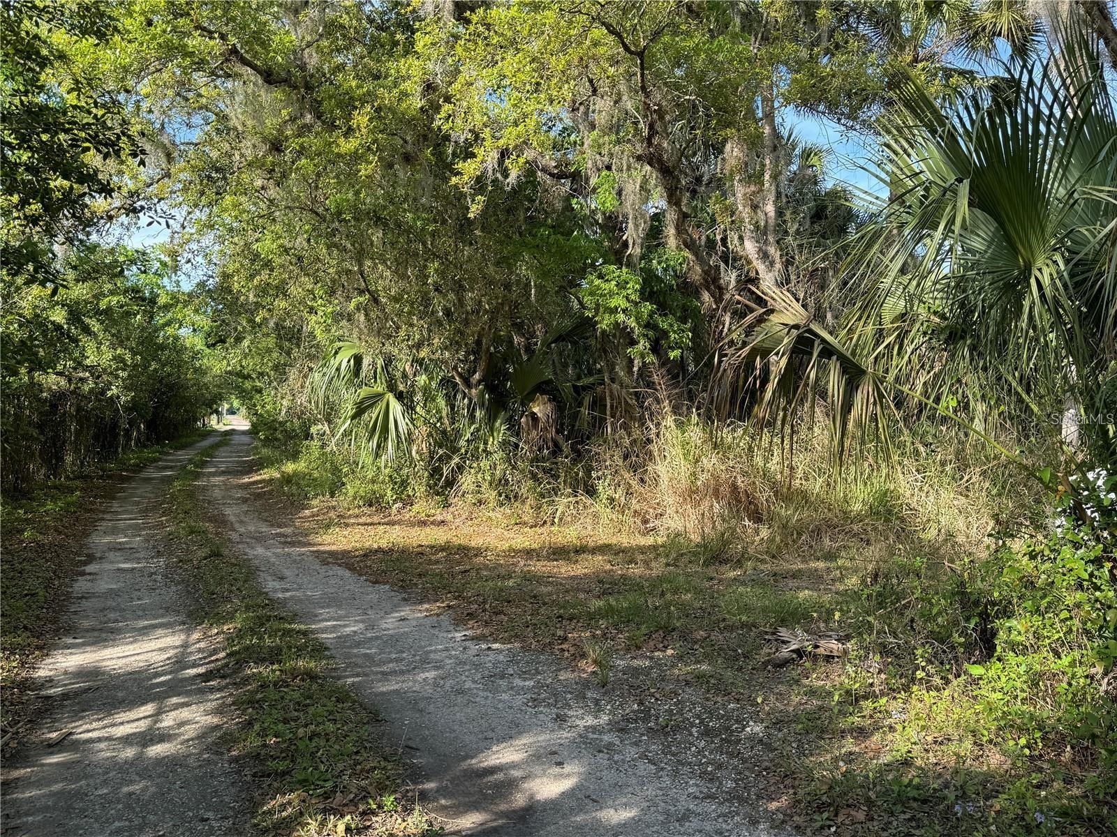 BLACK HAMMOCK - Land