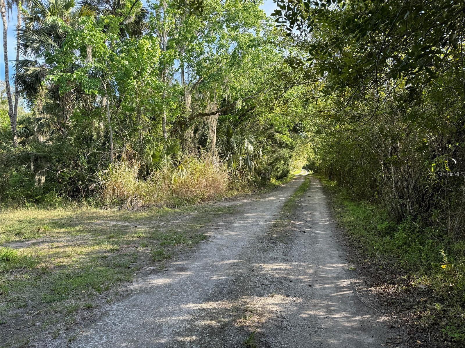 BLACK HAMMOCK - Land