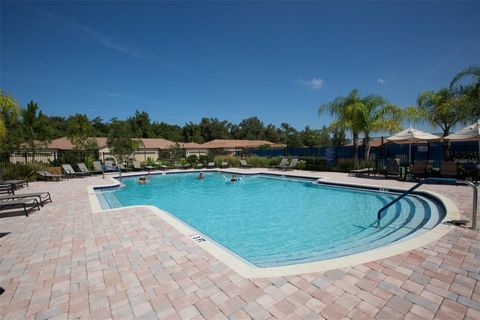 A home in APOLLO BEACH