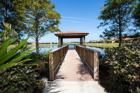 A home in APOLLO BEACH