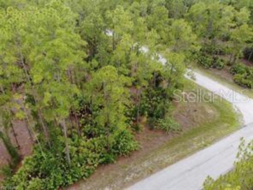 This corner lot in Alva, Florida, offers a perfect blend of natural beauty and convenience. Surrounded by lush greenery and tall palms, it provides a serene setting for building your dream home. With easy access from intersecting streets and proximity to the Caloosahatchee River, It's Ideal for outdoor activities like boating and fishing. Whether you're seeking a tranquil retreat or a family estate, this Alva corner lot promises a picturesque backdrop for embracing Florida's lifestyle. Come live a quiet and peaceful life and still be within a short distance of shopping, dining, and the international Airport!