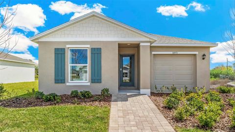 Photo of 13121 Old Canoe Way, Parrish, FL 34219 (MLS # A4683821)